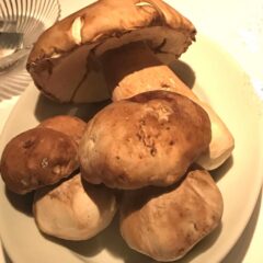 秋のおすすめパスタ