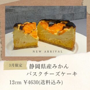 非公開: 3月のバスチー「静岡県産麗江みかんバスクチーズケーキ」