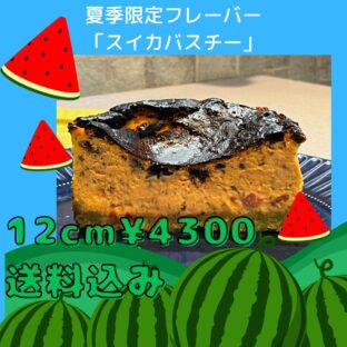非公開: 【送料込】夏季限定！！夏の味覚スイカバスチー　12ｃｍ