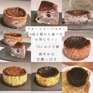 非公開: 爽やかな甘酸っぱさ「ブルーベリーバスクチーズケーキ」といろいろ選べるお得な２個セット（12ｃｍ×２個）